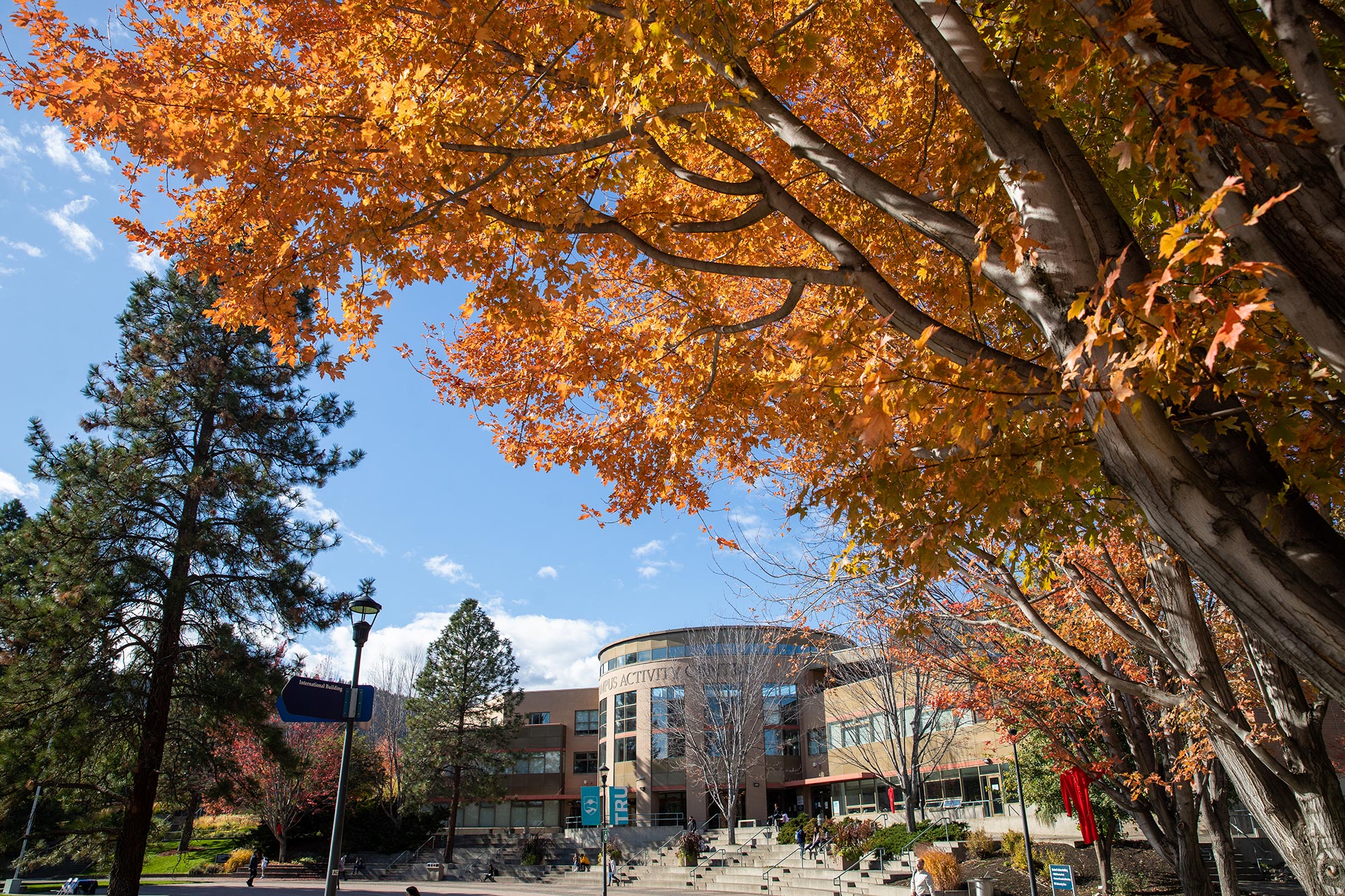 Thompson Rivers University: The Future of Wildfire Management